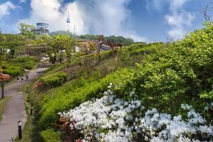 Namsan Park in spring It's daytime and there's Namsan Mountain in the background. photo