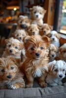 AI generated Group of puppies at a pet grooming session, fluffy and fresh. photo