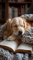 AI generated An informed pet owner is engrossed in a book concerning animal nutrition and mindful care. photo