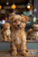 AI generated Puppies at pet grooming, fluffy and fresh, gather for a session of pampering and care. photo