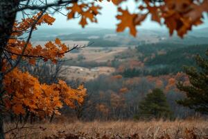 AI generated Saturated autumn forest vs desaturated barren land, sharp details on leaves vs blurry distant hills photo