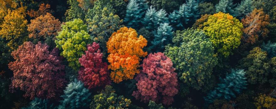 AI generated Seasonal trees in transition, panoramic view of a forest showing changes from summer to autumn, highlighting nature's beauty. photo