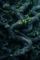 AI generated Tree roots intertwine, symbolizing strength in the dark forest floor backdrop, evoking stability. photo