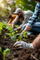 Spring Gardening Enthusiasts, Vegetable Garden Planting photo