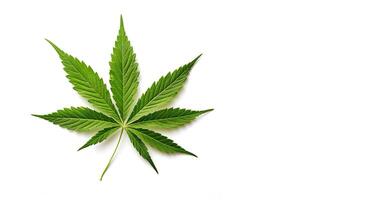 AI generated One leaf of cannabis plant isolated on white background. Top view. photo