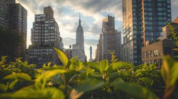 AI generated Generative AI, Rooftop garden in a high-rise building, Urban Farming, Green Spaces, Sustainable Living, Eco-Friendly, Skyline photo