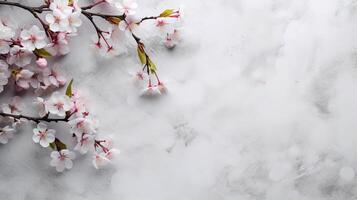 AI generated Cherry blossom branches background with copy space for text. photo