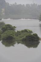 un paisaje ver de un calma río con verde arboles y montaña en India foto