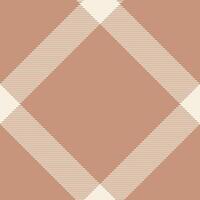 Plaid pattern vector. Check fabric texture. Seamless textile design for clothes, paper print. vector