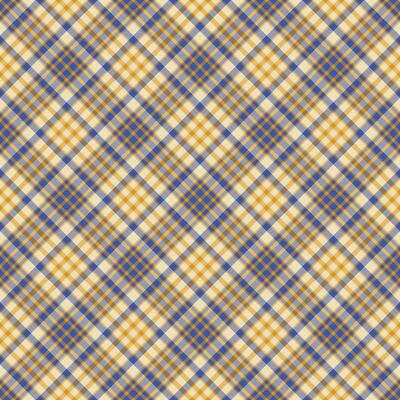 Plaid seamless pattern. Vector background of textile ornament. Flat fabric design.
