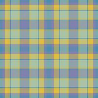 Plaid seamless pattern. Check fabric texture. Vector textile print.