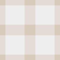 Cowboy tartan fabric texture, simplicity pattern check background. African vector seamless textile plaid in white and light colors.