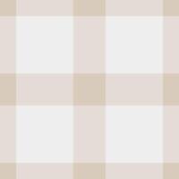 Cowboy tartan fabric texture, simplicity pattern check background. African vector seamless textile plaid in white and light colors.