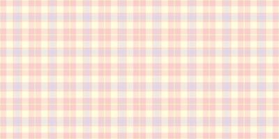 Turkish pattern background textile, self plaid texture vector. Living room check seamless tartan fabric in light and white colors. vector