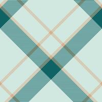 Plaid pattern vector. Check fabric texture. Seamless textile design for clothes, paper print. vector