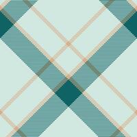 Plaid pattern vector. Check fabric texture. Seamless textile design for clothes, paper print. vector