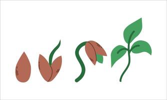 Sprouting Seed Plant Growth Drawing. This illustration can be used for a slogan in the form of an invitation to plant trees, as education. vector