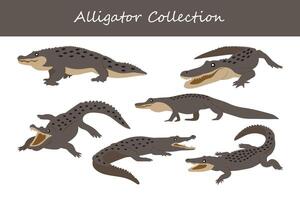 Alligator set. Cute cartoon alligator collection. Vector illustration