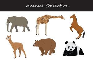 animales recopilación. vector ilustración en blanco antecedentes. plano estilo.