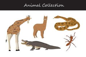 Animal collection. Cartoon style. Vector illustration isolated on white background.