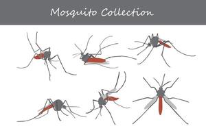 Mosquito collection. Vector illustration isolated on white background.