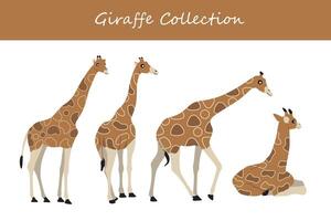 Giraffe vector illustration set. Cute giraffe isolated on white background.