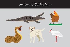 Animal collection. Cartoon style. Vector illustration isolated on white background.