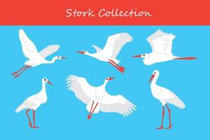 Stork vector illustration. Set of white storks isolated on blue background.