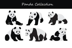 Panda set isolated on white background. Flat design. Vector illustration.