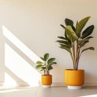 AI generated plants against a white wall in beautiful pots in a minimalistic interior photo