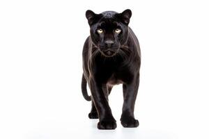 AI generated Black panther closeup photo