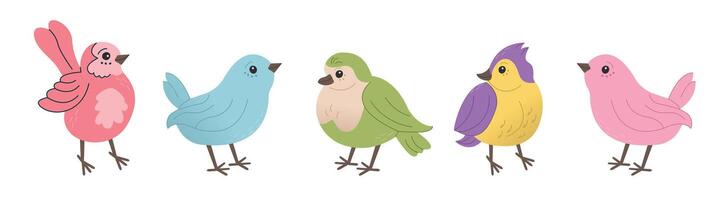 Spring birds. Beautiful and cute colorful birds. Set of beautiful and cute birds. Vector of birds for postcards and t-shirts.