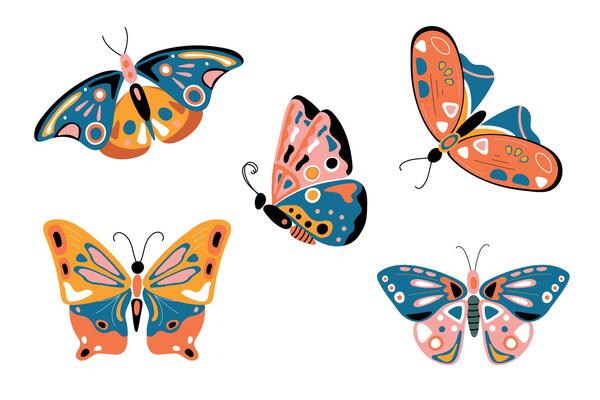 Hand drawn beautiful butterflies. Colorful set. View from above. Side view. Pastel shades.