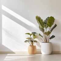 ai generado plantas en contra un blanco pared en hermosa ollas en un minimalista interior foto