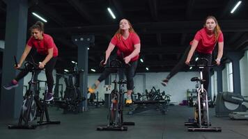 gezond Kaukasisch groep van Dames oefenen training Aan stationair wielersport machine fiets in Sportschool video