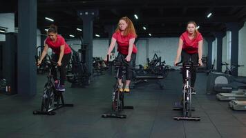 salutare caucasico gruppo di donne esercizio allenarsi su stazionario Ciclismo macchina bicicletta nel Palestra video
