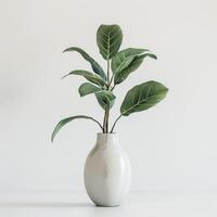 AI generated realistic plant inside a ceramic vase on white background photo