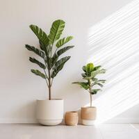 ai generado plantas en contra un blanco pared en hermosa ollas en un minimalista interior foto