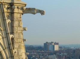 catedral basílica de el sagrado corazón - newark, Nueva Jersey foto