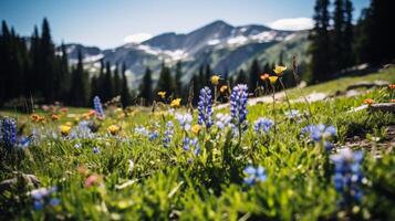 ai generado tranquilo paisaje de un verde prado en el Alpes foto
