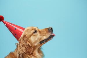 ai generado dorado perdiguero vistiendo un fiesta sombrero con azul Copiar espacio foto