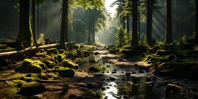 ai generado un tranquilo río en el medio de el bosque con penetrante luz de sol. generativo ai foto