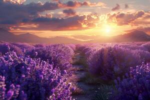 AI generated a lavender field with beautiful twilight sky .generative ai photo