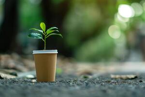 ai generado brote creciente en el café taza. ambientalmente amigable, reciclaje, generado con ai foto