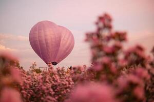 heart shaped hot air balloon floats over field of flowers in evening, and heart shaped balloons are also symbol of love and friendship. using heart shaped balloons as symbol of love and friendship. photo