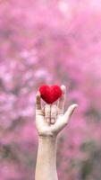 young man raises his hand and makes sign language symbol of I love you show love and friendship for each other. Sign language is also universal language that can be easily understood as saying love. photo