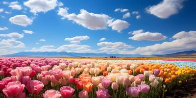 AI generated Colorful Tulip Field with Blue Sky Landscape. Generative Ai photo