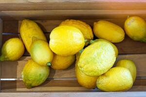 Ripe lemons in a wooden crate. The fruit is round and oval. The young fruit is green When cooked it will be yellow. The fruit flesh is juicy and sour taste. photo