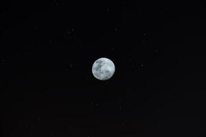 el Luna en el oscuro foto