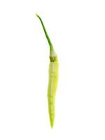 Fresh chilli on white background. photo